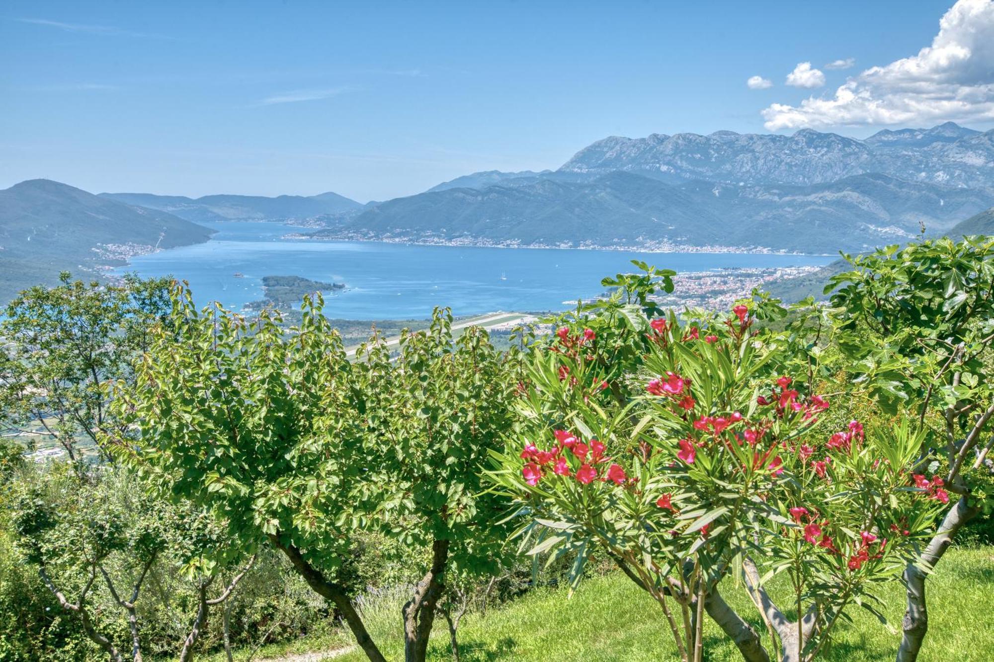 Apartment Paradise Kotor Exteriör bild