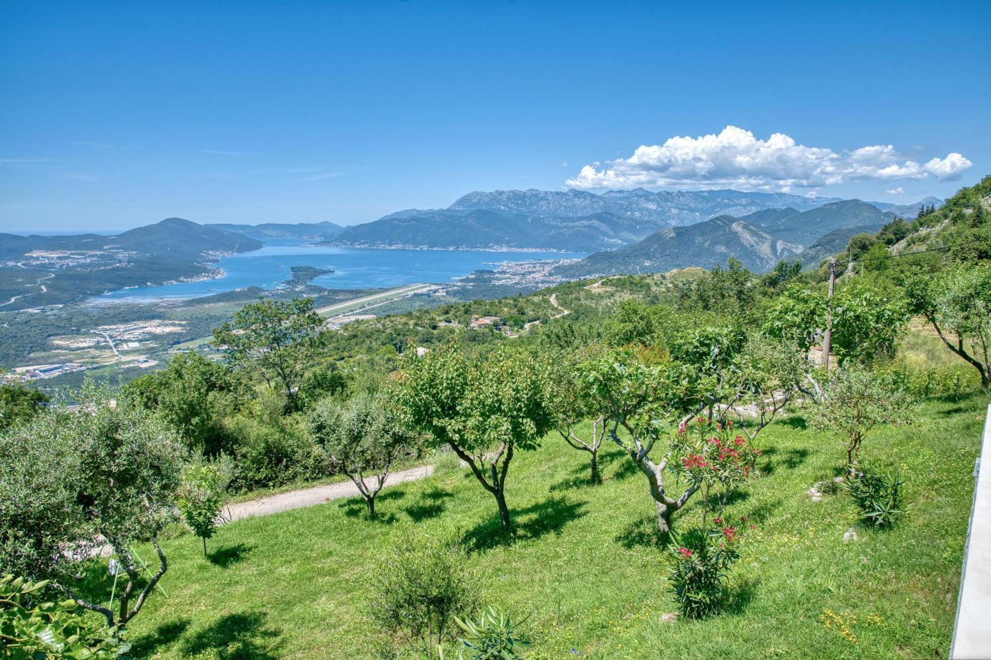Apartment Paradise Kotor Exteriör bild